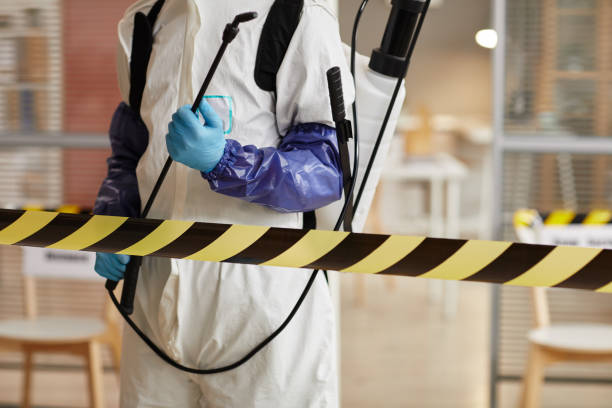 Professional Sewage Cleanup technician working in Galena, IL